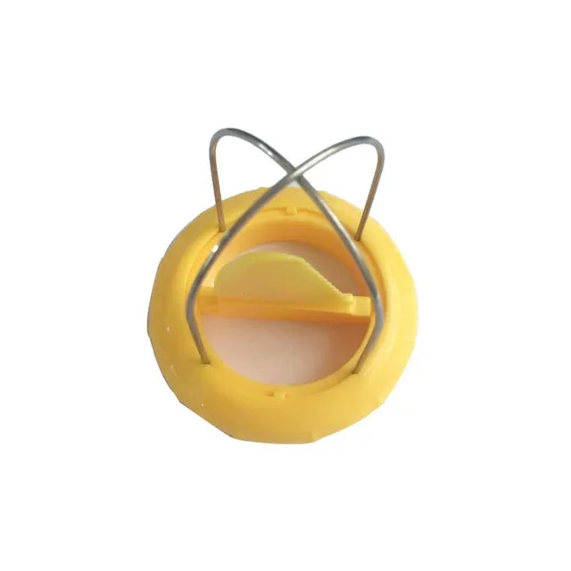 Fast Peel Kiwi Cutter Fruit Peeler Slicer Lemon Kiwi Slicer Peeling Pitaya Spiralizer Kitchen Gadgets Salad Cooking Tools